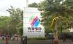 Wipro fired 800 freshars with the reason of internal test results- India TV Hindi