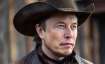 elon musk, elon musk net worth, tesla, tesla share price, tesla stocks, tesla shares, one big beutif- India TV Paisa