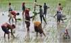 Farmers - India TV Paisa