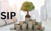 SIP का सालभर का करिश्मा- India TV Paisa