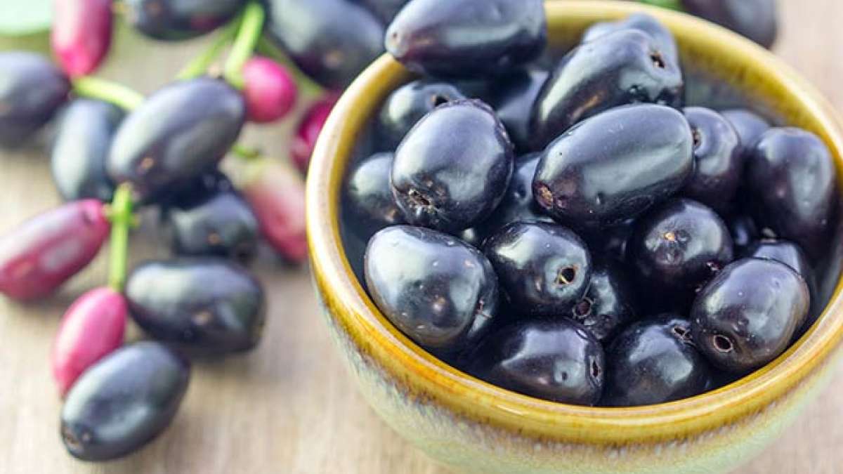 जाने क्या पेट दुरुस्त रखता है जामुन, अभी पढ़े