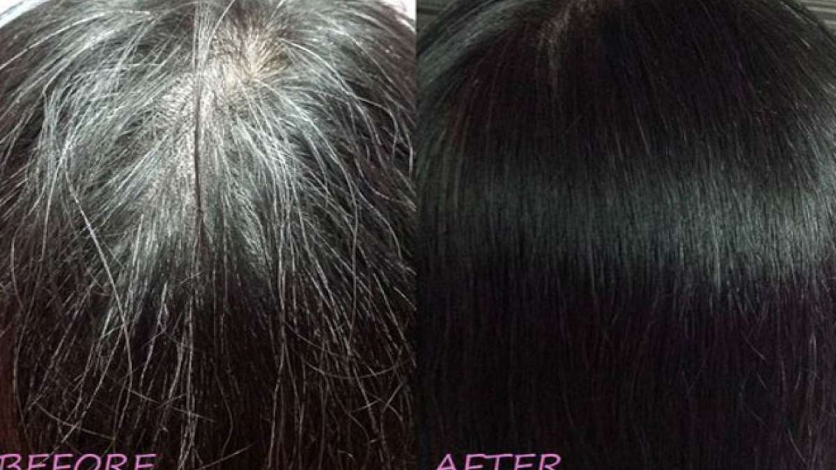 Magical oil to change white hair to black naturally turn white hair to  black permanently in 7 days guaranteed - India TV Hindi