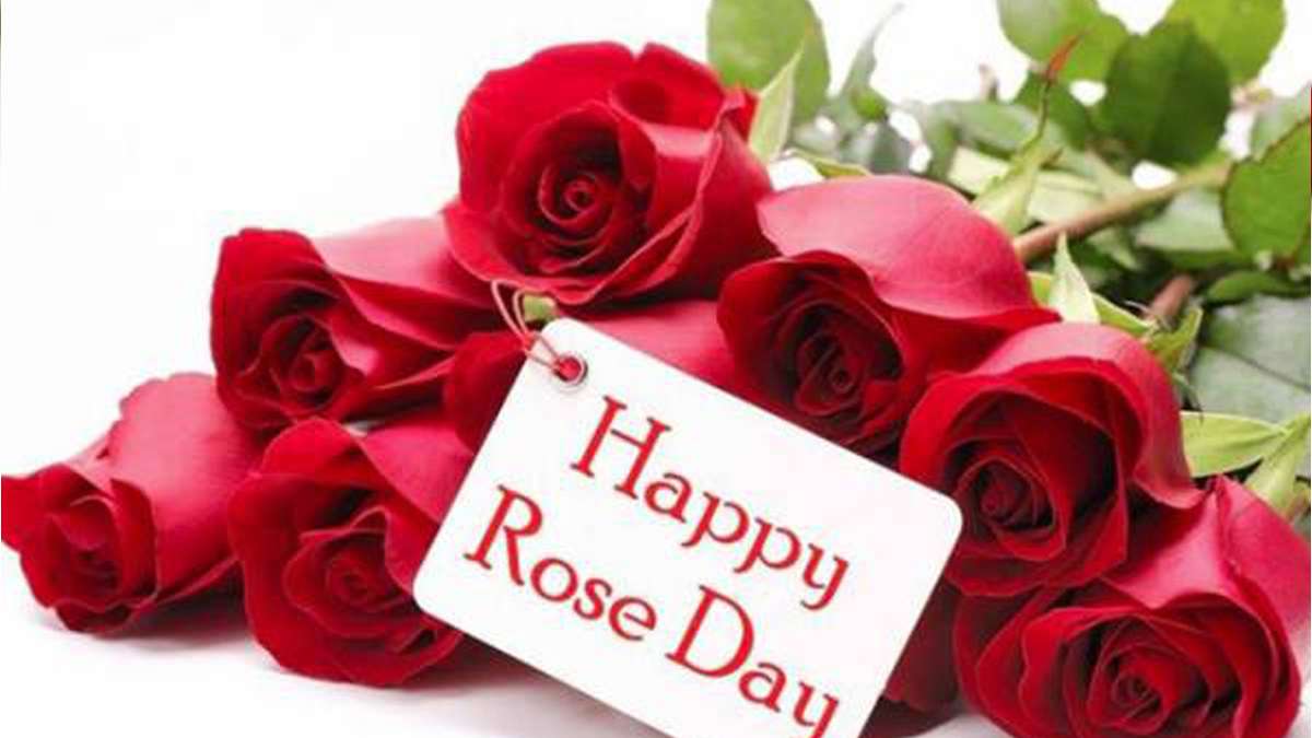 Happy rose day 2020 wishes images gif whatsapp messages shayri ...