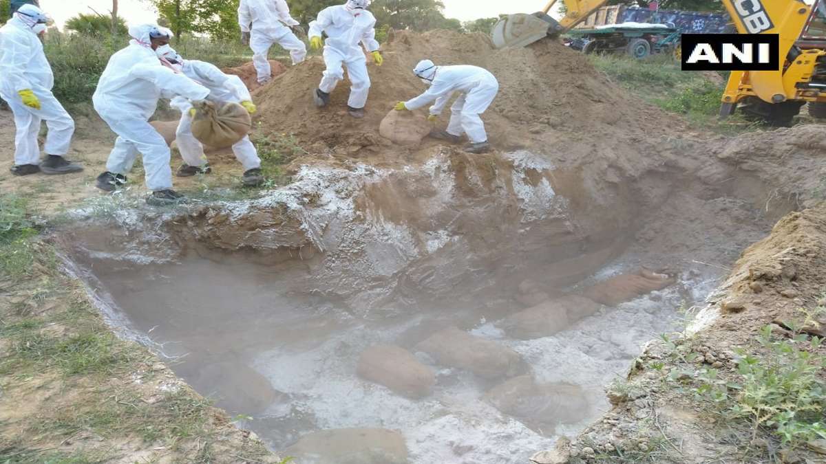 Bihar Animal Husbandry Department culled & disposed over hundreds of chicken in Patna - Coronavirus के खौफ के बीच बिहार में बर्ड फ्लू की भी दस्तक, पटना में मारे गए सैकड़ों मुर्गे - Bihar Animal Husbandry Department culled & disposed over hundreds of chicken in Patna - Coronavirus के खौफ के बीच बिहार में बर्ड फ्लू की भी दस्तक, पटना में मारे गए सैकड़ों मुर्गे -