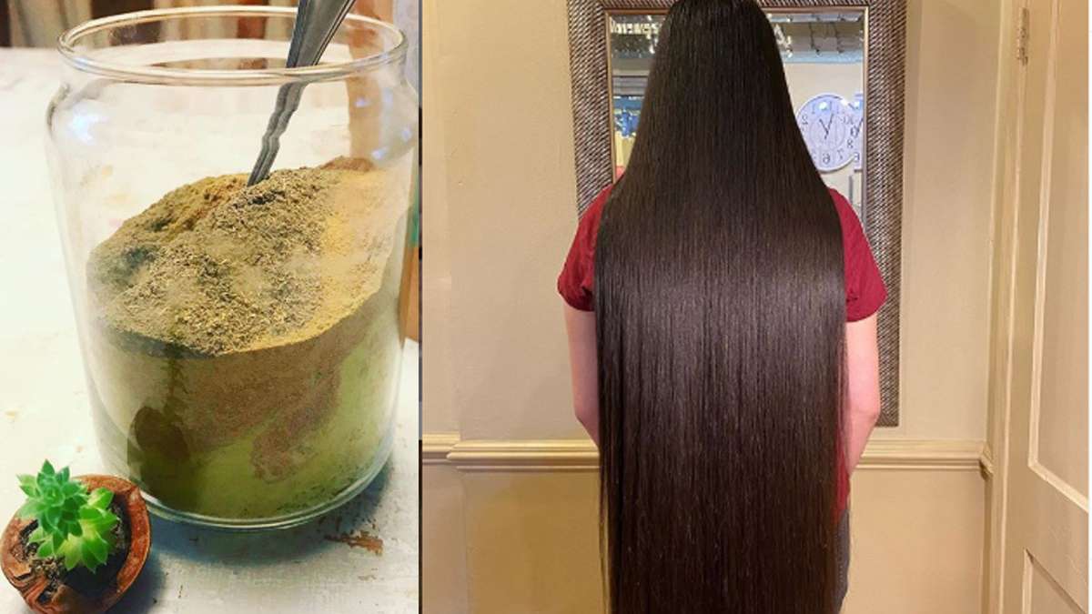 Bringraaj For White Hair: How To Use False Daisy And Coconut Oil For White Hair To Change Black Naturally In Hindi: सफेद बालों से छुटकारा पाने के लिए इस तरह लगाएं भृंगराज, Bringraaj For White Hair: How To Use False Daisy And Coconut Oil For White Hair To Change Black Naturally In Hindi: सफेद बालों से छुटकारा पाने के लिए इस तरह लगाएं भृंगराज,