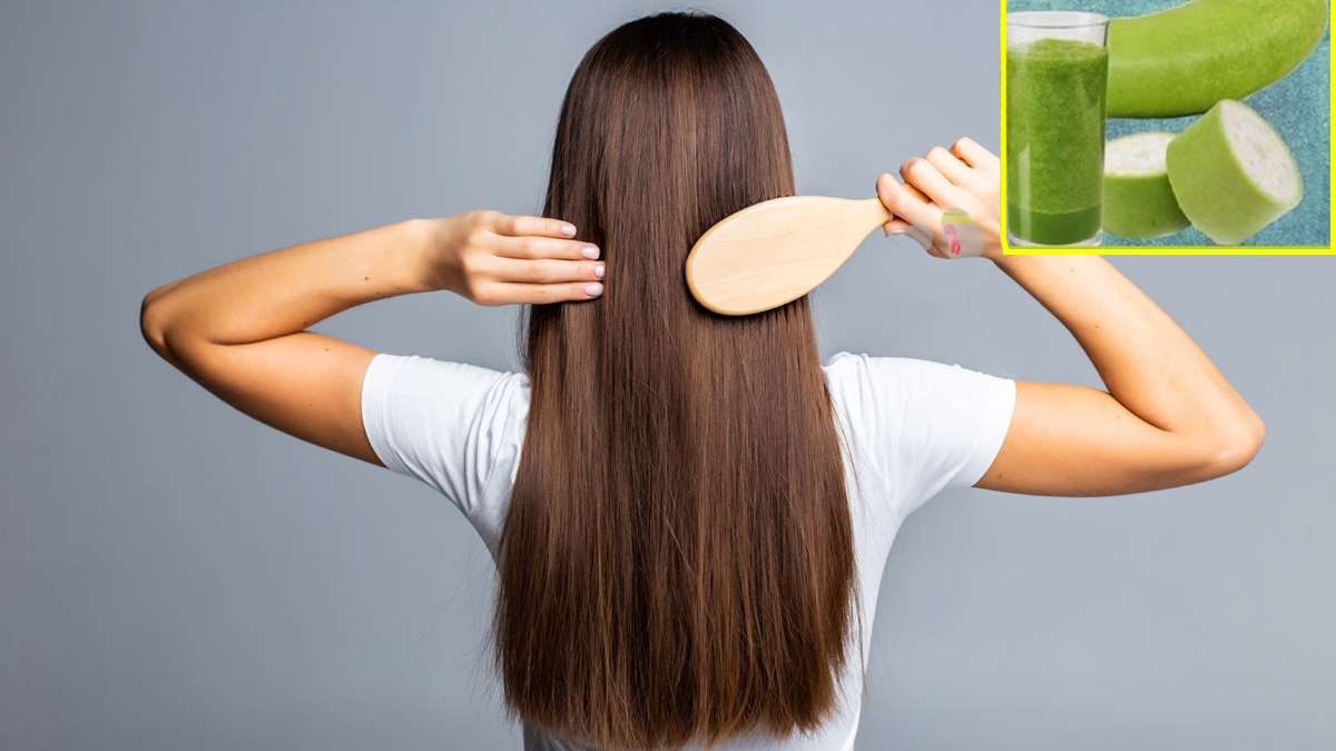 Lauki for hair know how to use bottle gourd peel and juice to get rid hair fall bald and white hair:झड़ते बालों से हैं परेशान तो ऐसे करें लौकी के जूस का Lauki for hair know how to use bottle gourd peel and juice to get rid hair fall bald and white hair:झड़ते बालों से हैं परेशान तो ऐसे करें लौकी के जूस का