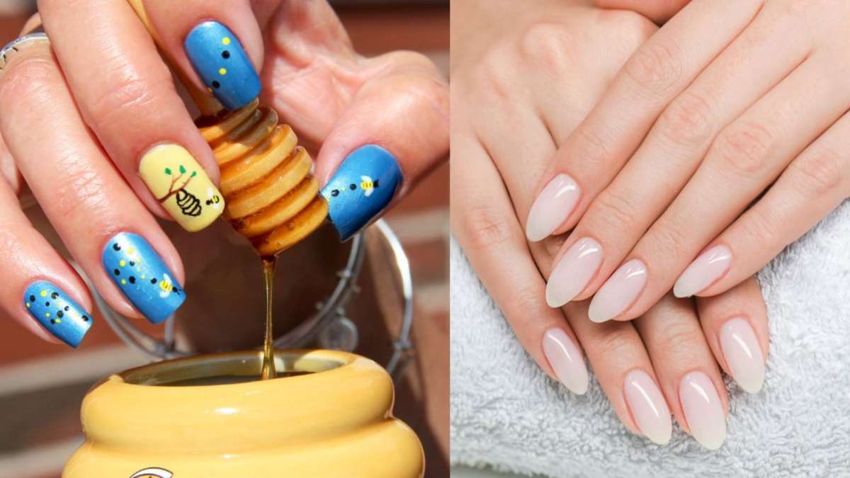 Nail Care Tips: शहद के इस्तेमाल से नाखून बनेंगे खूबसूरत, जानें कैसे करना है इस्तेमाल - Nail Care Tips Honey help improve your nails know nail care tips of honey - India Nail Care Tips: शहद के इस्तेमाल से नाखून बनेंगे खूबसूरत, जानें कैसे करना है इस्तेमाल - Nail Care Tips Honey help improve your nails know nail care tips of honey - India