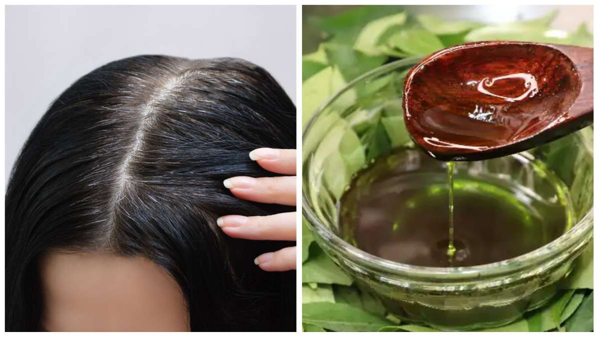 Curry leaves and coconut oil for hair in hindi | करी पत्ता और नारियल तेल  बालों के लिए - India TV Hindi
