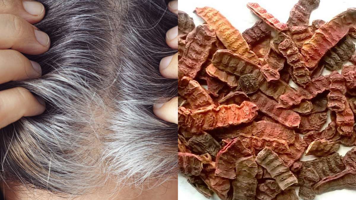 बालों के लिए शिकाकाई के फायदे: शिकाकाई से करें सफेद बालों को काला | Shikakai benefits for hair in hindi - India TV Hindi बालों के लिए शिकाकाई के फायदे: शिकाकाई से करें सफेद बालों को काला | Shikakai benefits for hair in hindi - India TV Hindi