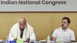 'सीमांचल में ओवैसी फैक्टर..', हारे हुए उम्मीदवारों ने राहुल गांधी को बताया बिहार में कांग्रेस की क्यों हुई दुर्गति?