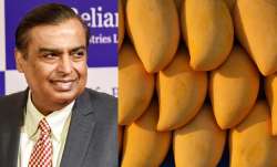 Mukesh Ambani's Mango Business- India TV Paisa