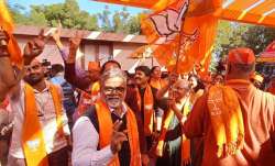 गुजरात में ऐतिहासिक जीत के बाद जश्न मनाते बीजेपी के कार्यकर्ता - India TV Hindi