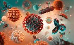 Covid 19 in India coronavirus cases rise in india 1249 people tested positive and 2 died- India TV Paisa