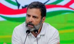 कांग्रेस के पूर्व सांसद राहुल गांधी- India TV Paisa