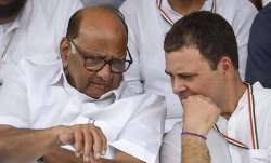sharad pawar taught rahul gandhi- India TV Paisa