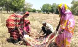 onion farmers of maharashtra- India TV Paisa