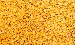 Arhar Dal- India TV Paisa