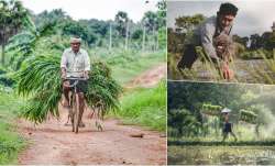 पीएम किसान किस्त- India TV Paisa