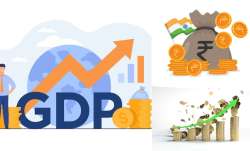 India GDP- India TV Paisa