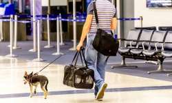 Pets in Airlines - India TV Paisa