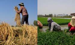 किसानों की खबर- India TV Paisa