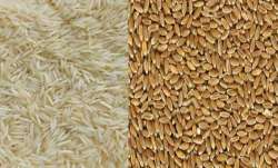 Rice and Wheat - India TV Paisa