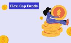 Flexi Cap Mutual Fund- India TV Paisa