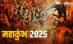 महाकुंभ 2025- India TV Paisa