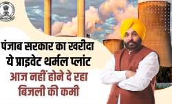 punjab, punjab government, bhagwant mann, bhagwant mann government, therman power plant, power plant- India TV Paisa