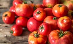 tomato, tomato price, tomato price in delhi, tomato in madhya pradesh, tomato farmers, farmers, टमाट- India TV Paisa