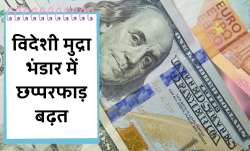 forex reserves of india, forex reserves, foreign exchange reserves, us dollar, rbi, reserve bank of - India TV Paisa