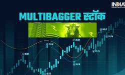 Multibagger - India TV Paisa