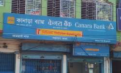 canara bank fd, canara bank 24 months fd, canara bank 24 months fd interest rate, canara bank 24 mon- India TV Paisa