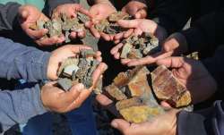 भारत ने कई कंपनियों को...- India TV Paisa