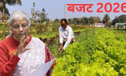 बजट में नहरों की मरम्मत, ड्रिप और स्प्रिंकलर सिंचाई जैसी तकनीकों में निवेश बढ़ाया जा सकता है।- India TV Paisa