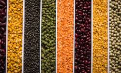 pulses, pulses import, pulses import from usa, donald trump, narendra modi, tariff, tariff war- India TV Paisa