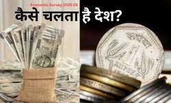 सरकार अपने इनकम में से 6 प्रतिशत राशि बड़ी सब्सिडी देने में खर्च करती है।- India TV Paisa