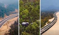 जंगल के बीच से गुजरेगा...- India TV Paisa