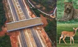 चेन्नई-बेंगलुरु...- India TV Paisa