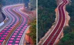 लाल पट्टियों वाली...- India TV Paisa