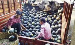 फ्रूट मार्केट में...- India TV Paisa