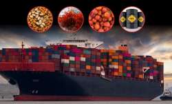 भारत ईरान से क्या...- India TV Paisa