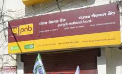 pnb, punjab national bank, pnb fd, pnb 6 years fd, pnb 6 years fd interest rate, pnb 6 years fd calc- India TV Paisa
