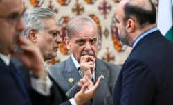 पाकिस्तान के प्रधानमंत्री शहबाज शरीफ और अन्य लोग।- India TV Paisa