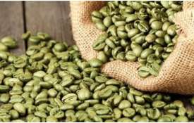GREEN COFFEE GREEN COFFEE- India TV Hindi