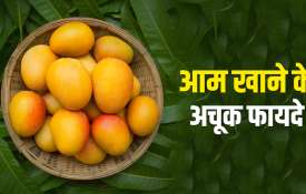 Mangoes- India TV Hindi