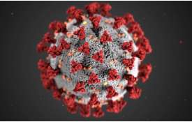 Coronavirus live updates in hindi white fungus black fungus covid19 third wave vaccination- India TV Hindi