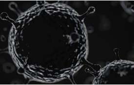 black fungus black fungus - India TV Hindi