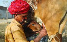 Banas Dairy to pay Rs 1,132 crore bonus to 5 lakh dairy farmers- India TV Hindi