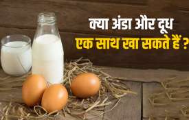 Combination of egg and milk is good for health Combination of egg and milk is good for health- India TV Hindi